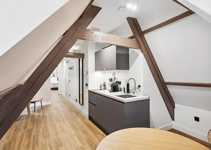 Limehome Nieuwstraat Lejlighedshotel Haag